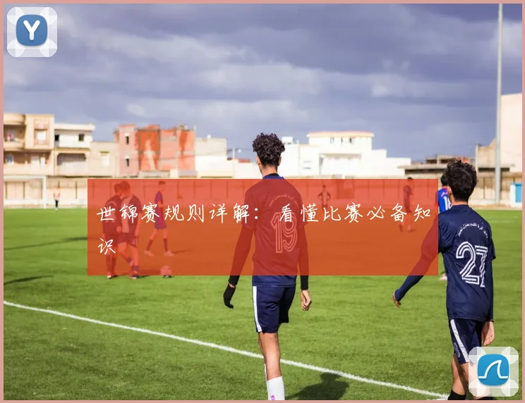 世锦赛规则详解：看懂比赛必备知识