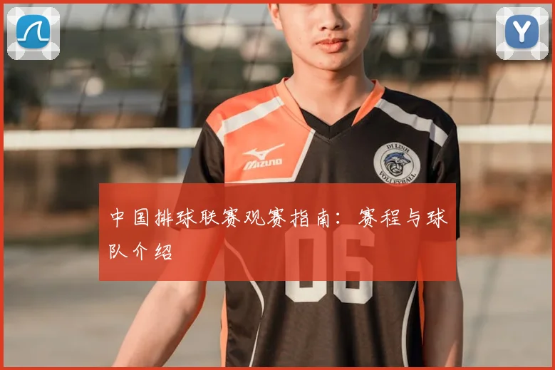 中国排球联赛观赛指南：赛程与球队介绍