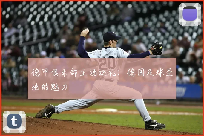 德甲俱乐部主场巡礼：德国足球圣地的魅力