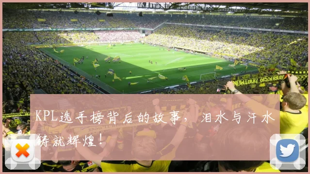 KPL选手榜背后的故事，泪水与汗水铸就辉煌！