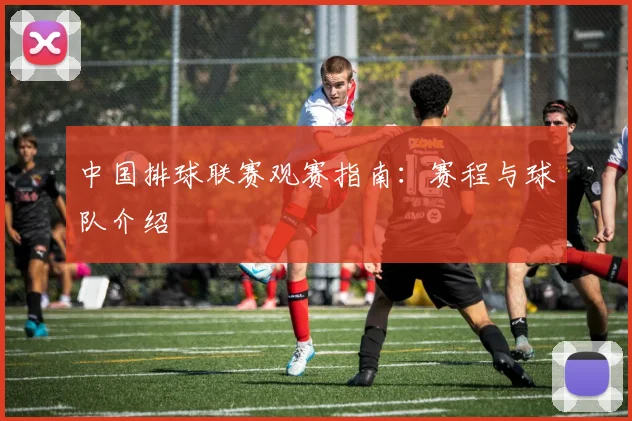 中国排球联赛观赛指南：赛程与球队介绍