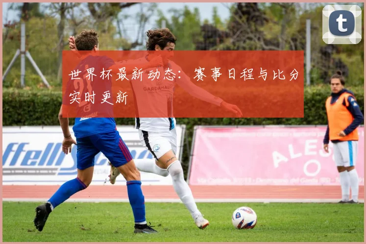 世界杯最新动态：赛事日程与比分实时更新