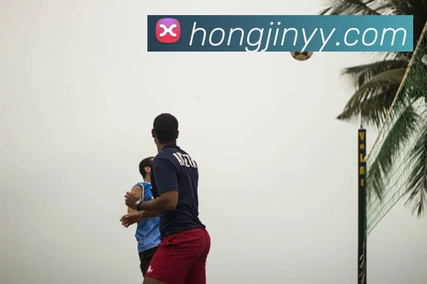 世界杯官网平台生态图